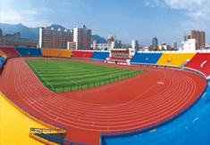 臨潼區(qū)人民體育場田徑

場改造提升項目