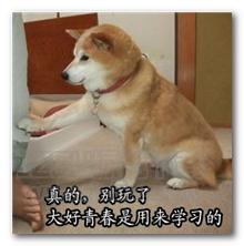 同為造價(jià)人，他是如何做到年入百萬的