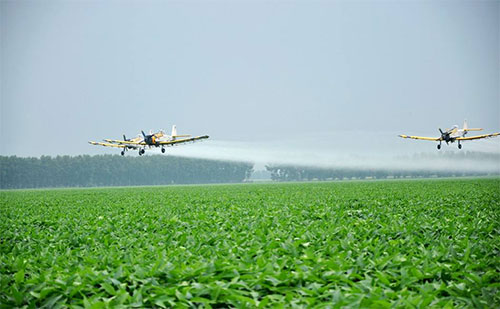 規(guī)?；r(nóng)業(yè)生產(chǎn)